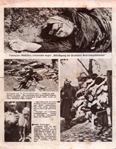 Random PSYOP leaflet - What the German Must Know